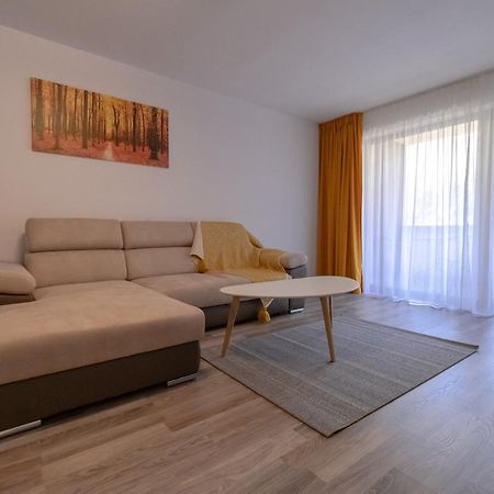 Transylvanian Apt. W/ Lrg. Terrace And Parking - Karpatenhaus 布拉索夫 外观 照片