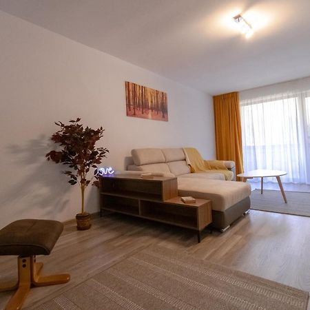 Transylvanian Apt. W/ Lrg. Terrace And Parking - Karpatenhaus 布拉索夫 外观 照片